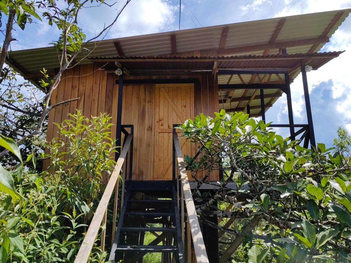 Onca Tours & Treehouses Katira Exterior photo