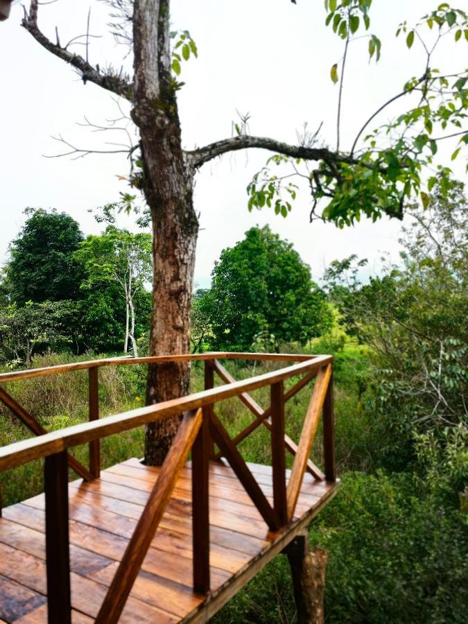 Onca Tours & Treehouses Katira Exterior photo