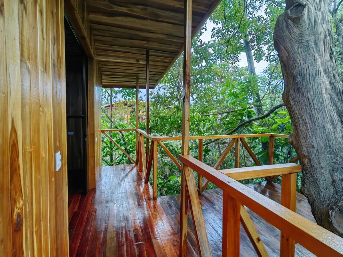 Onca Tours & Treehouses Katira Exterior photo