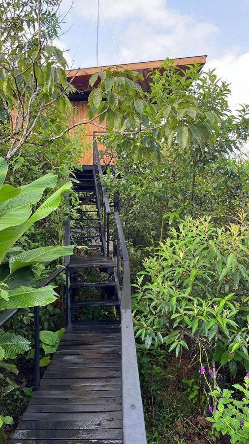 Onca Tours & Treehouses Katira Exterior photo