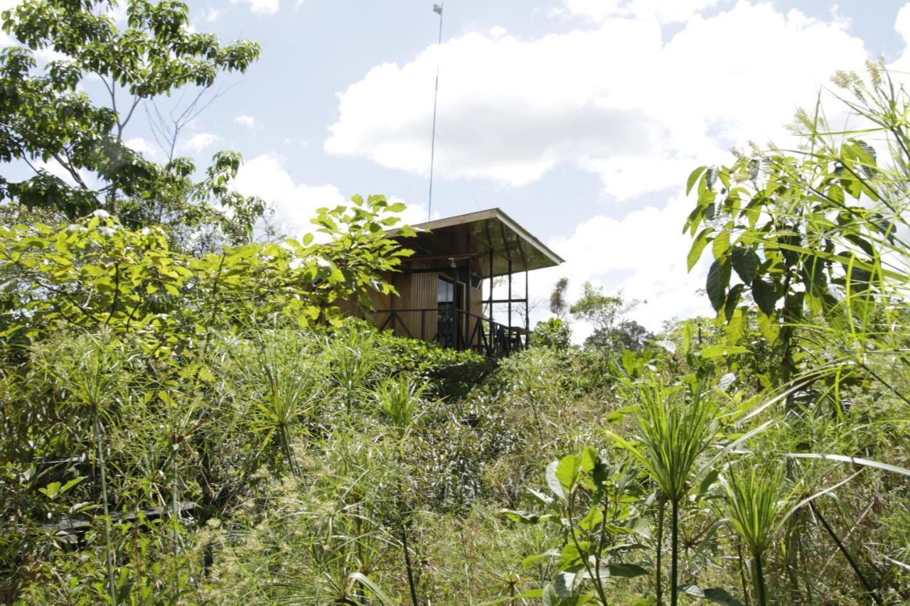 Onca Tours & Treehouses Katira Exterior photo