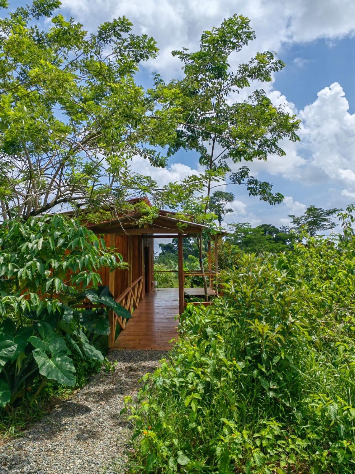 Onca Tours & Treehouses Katira Exterior photo